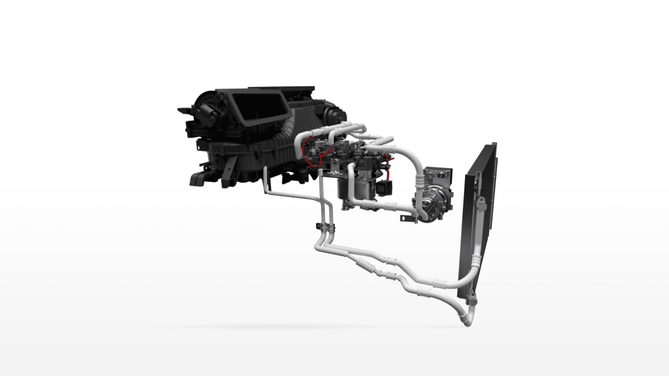 BYD image
